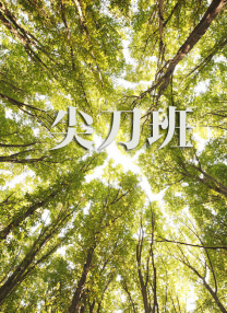 日韩精品a在线视频